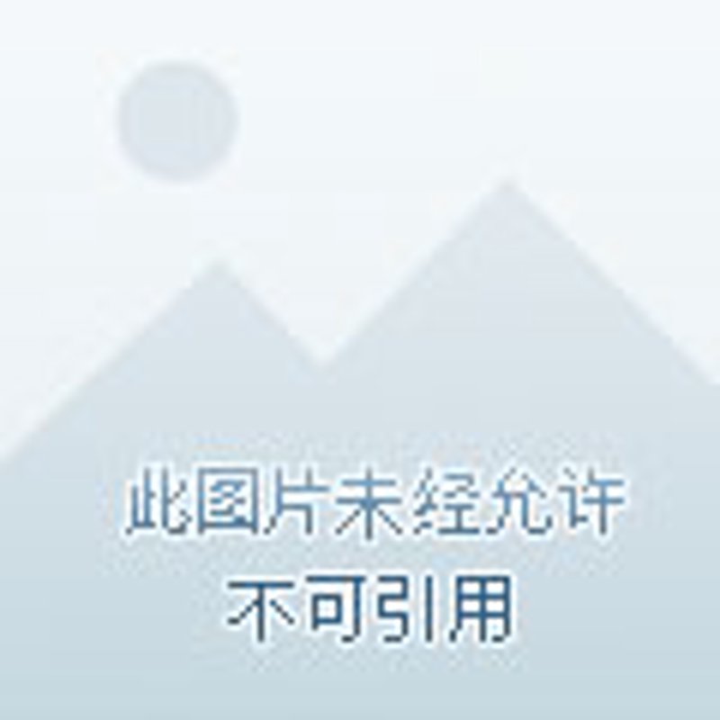 电商之都：探寻重庆商业活力背后的故事