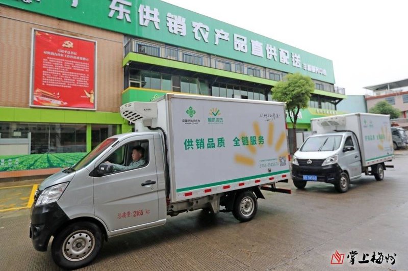 进口水果走进千家万户：一场味蕾与品质的盛宴